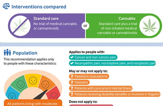 A visual summary of recommendations on cannabis for chronic pain