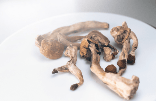 Psilocybin and Magic Mushrooms