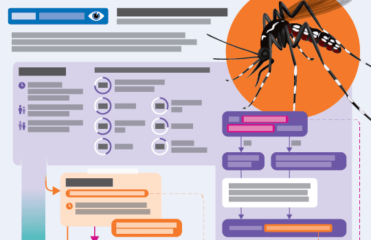 Dengue infographic