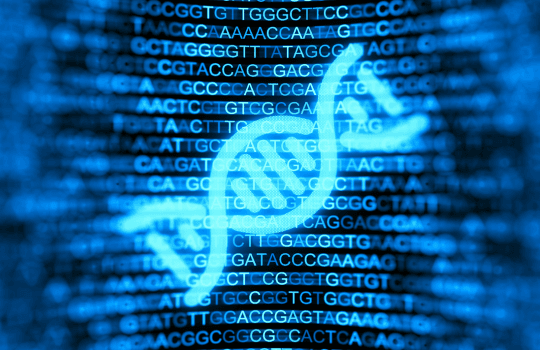 whole genome sequencing