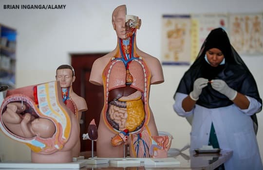 Medical student learning about childbirth