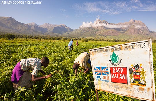 Agricultural workers in Malawi by a billboard showing UK aid sponsors